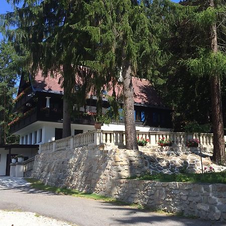 Hunting Lodge Vitkov Sokolov Exterior photo