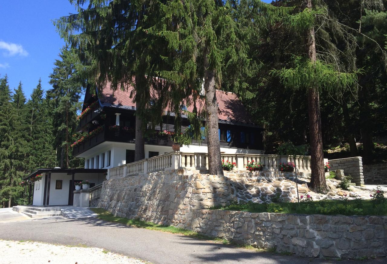 Hunting Lodge Vitkov Sokolov Exterior photo